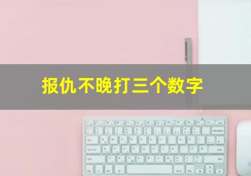 报仇不晚打三个数字