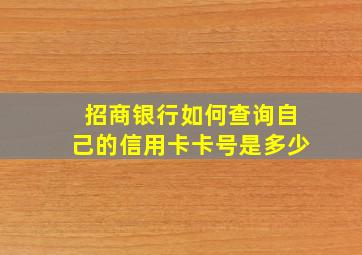 招商银行如何查询自己的信用卡卡号是多少