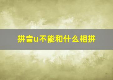 拼音u不能和什么相拼