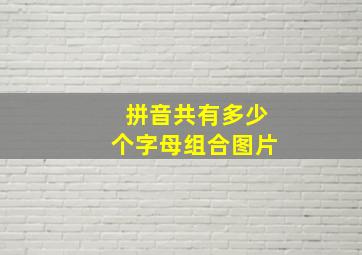 拼音共有多少个字母组合图片