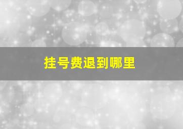 挂号费退到哪里