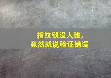 指纹锁没人碰,竟然就说验证错误