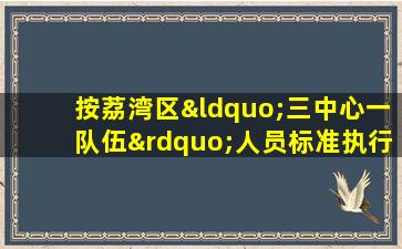 按荔湾区“三中心一队伍”人员标准执行