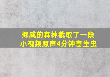 挪威的森林截取了一段小视频原声4分钟寄生虫