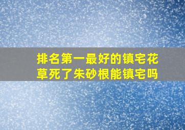 排名第一最好的镇宅花草死了朱砂根能镇宅吗