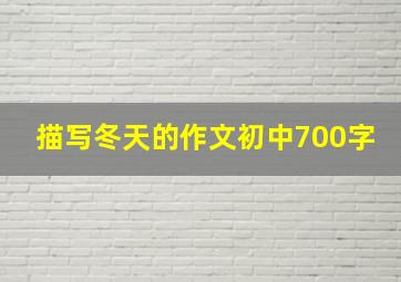 描写冬天的作文初中700字