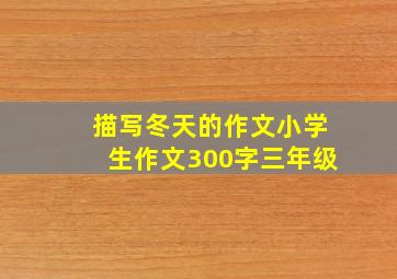 描写冬天的作文小学生作文300字三年级