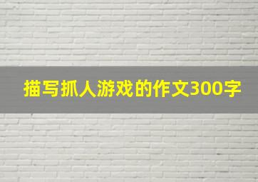 描写抓人游戏的作文300字