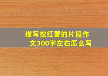 描写挖红薯的片段作文300字左右怎么写