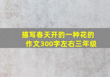 描写春天开的一种花的作文300字左右三年级