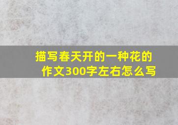 描写春天开的一种花的作文300字左右怎么写