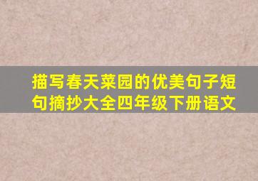 描写春天菜园的优美句子短句摘抄大全四年级下册语文