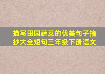 描写田园蔬菜的优美句子摘抄大全短句三年级下册语文