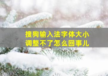 搜狗输入法字体大小调整不了怎么回事儿