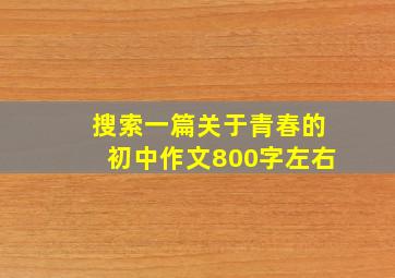 搜索一篇关于青春的初中作文800字左右