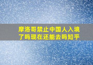 摩洛哥禁止中国人入境了吗现在还能去吗知乎