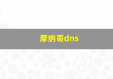 摩纳哥dns