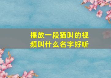 播放一段猫叫的视频叫什么名字好听