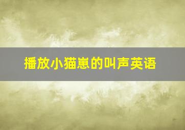 播放小猫崽的叫声英语