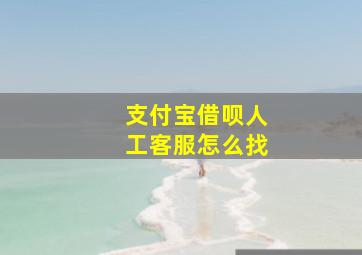 支付宝借呗人工客服怎么找