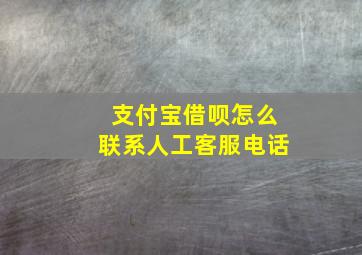 支付宝借呗怎么联系人工客服电话