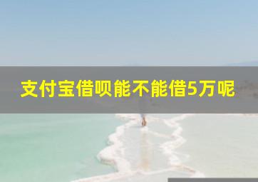 支付宝借呗能不能借5万呢