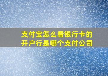 支付宝怎么看银行卡的开户行是哪个支付公司