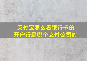 支付宝怎么看银行卡的开户行是哪个支付公司的