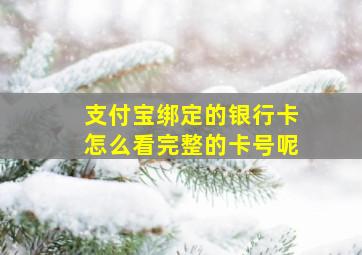 支付宝绑定的银行卡怎么看完整的卡号呢