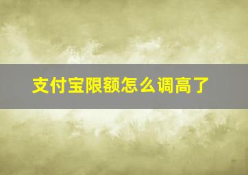 支付宝限额怎么调高了