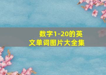 数字1-20的英文单词图片大全集