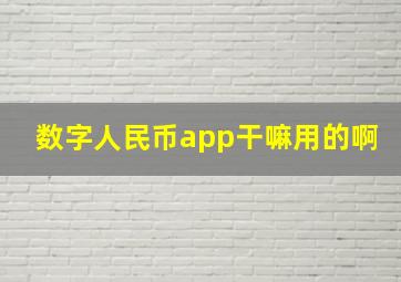 数字人民币app干嘛用的啊