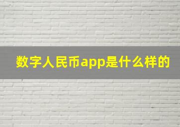 数字人民币app是什么样的