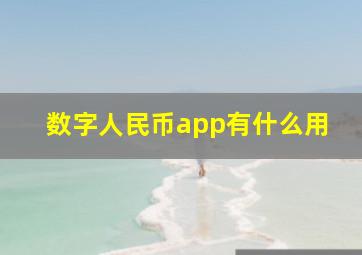 数字人民币app有什么用