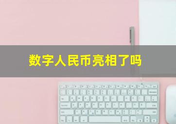 数字人民币亮相了吗