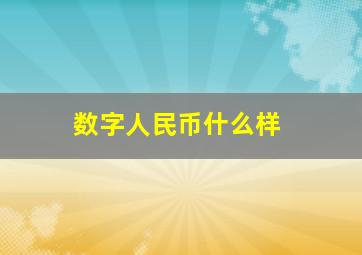 数字人民币什么样