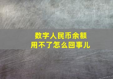 数字人民币余额用不了怎么回事儿