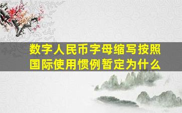 数字人民币字母缩写按照国际使用惯例暂定为什么