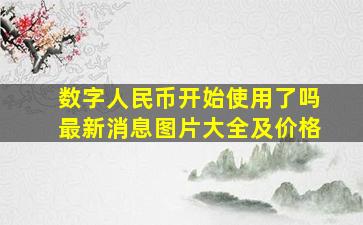 数字人民币开始使用了吗最新消息图片大全及价格