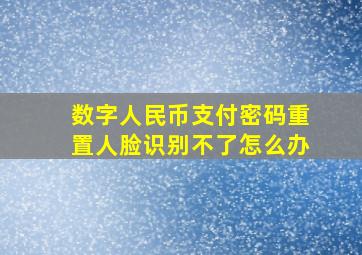 数字人民币支付密码重置人脸识别不了怎么办