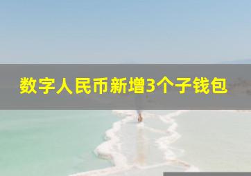 数字人民币新增3个子钱包