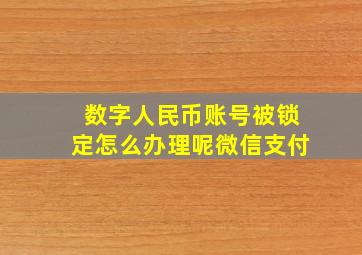 数字人民币账号被锁定怎么办理呢微信支付