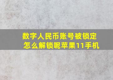 数字人民币账号被锁定怎么解锁呢苹果11手机