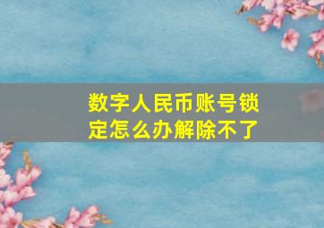 数字人民币账号锁定怎么办解除不了