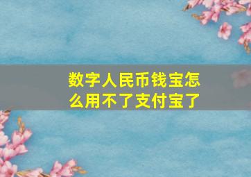 数字人民币钱宝怎么用不了支付宝了