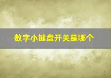 数字小键盘开关是哪个