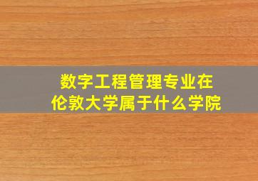 数字工程管理专业在伦敦大学属于什么学院