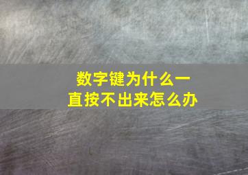 数字键为什么一直按不出来怎么办