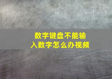 数字键盘不能输入数字怎么办视频