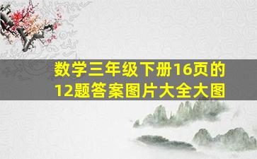 数学三年级下册16页的12题答案图片大全大图